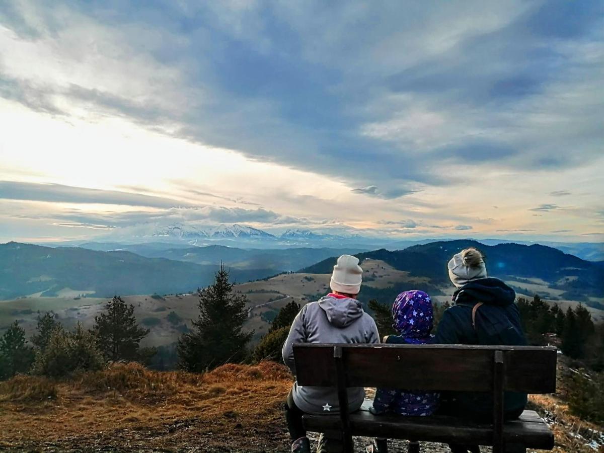 Вилла Domek Na Berechu Domek W Gorach-Pieniny Szlachtowa Экстерьер фото